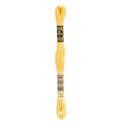DMC Mouliné Stranded Cotton 8m Skein - 19