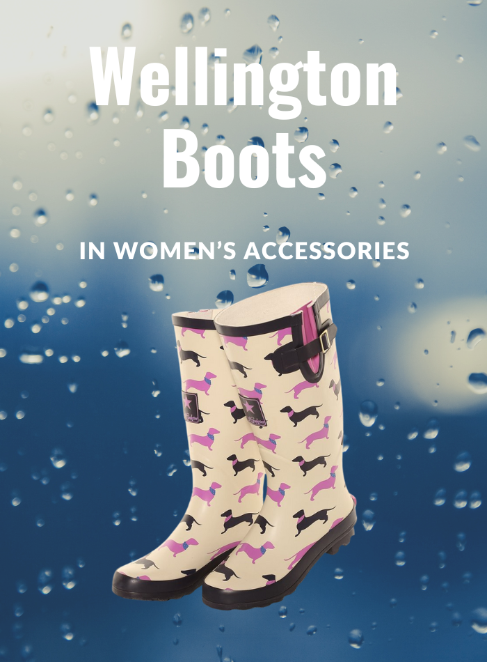 Ladies Accessories