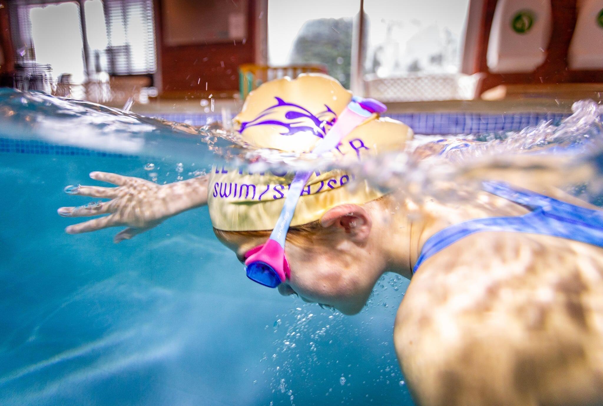 Le Mourier Dolphins Swimming