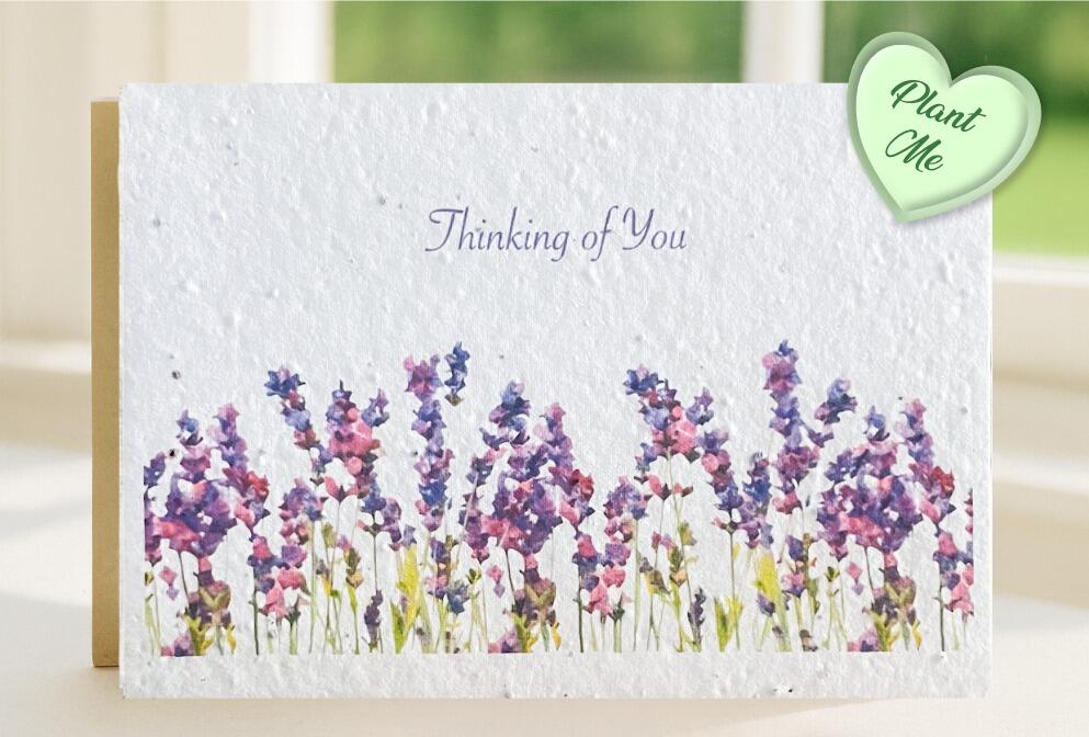 Thinking of You lavender