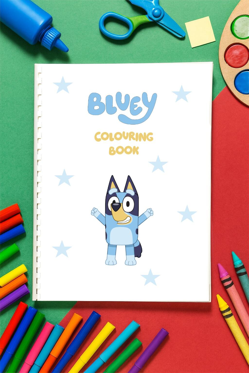 Bluey colouring book main
