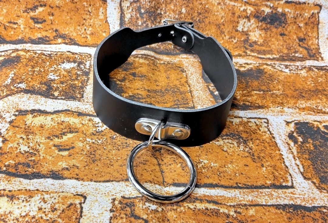 2 Row Silver D-Ring Plate & Medium "O" Black Leather Collar - Fastened