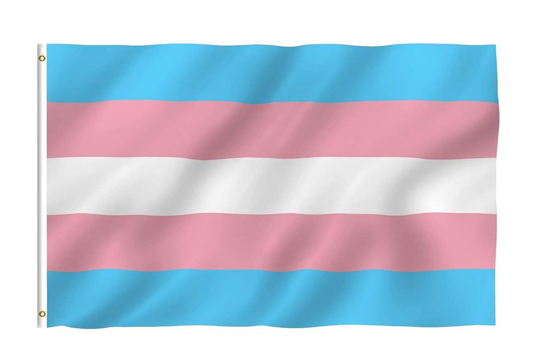 Void Clothing | Large Trans Pride Flag