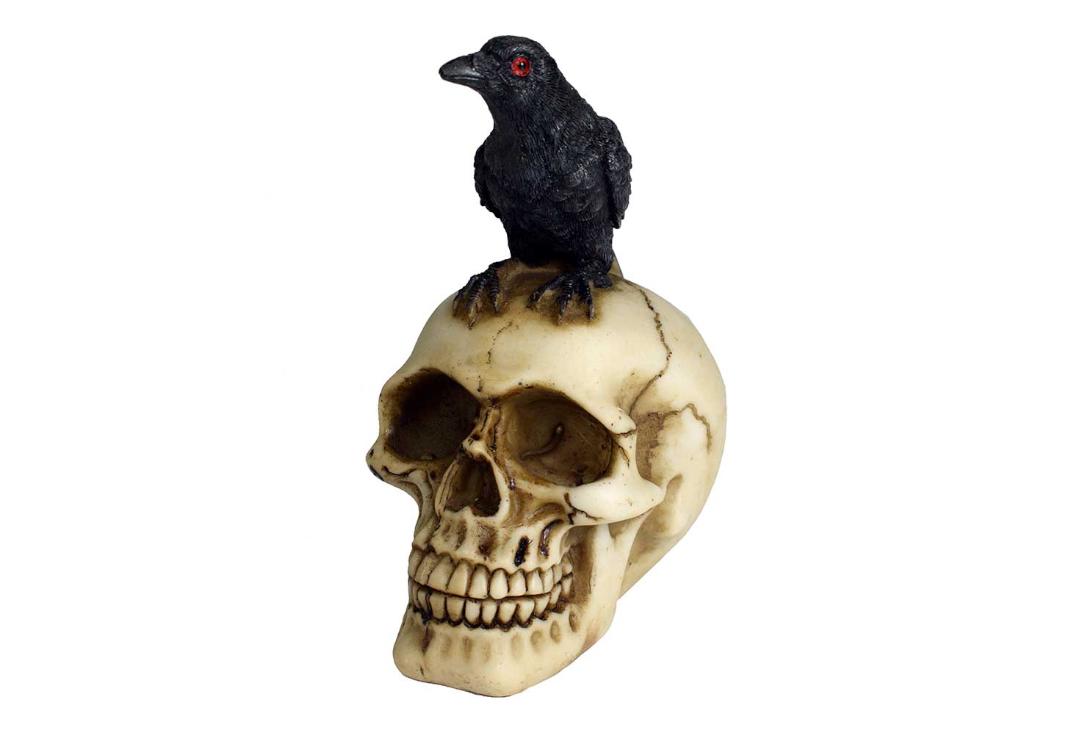 Void Clothing | Small Crow Skull Decoration
