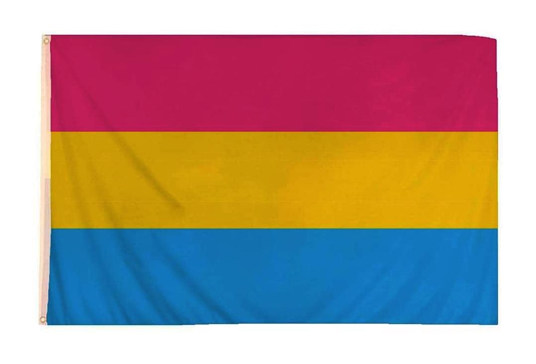 Void Clothing | Large Pansexual Pride Flag