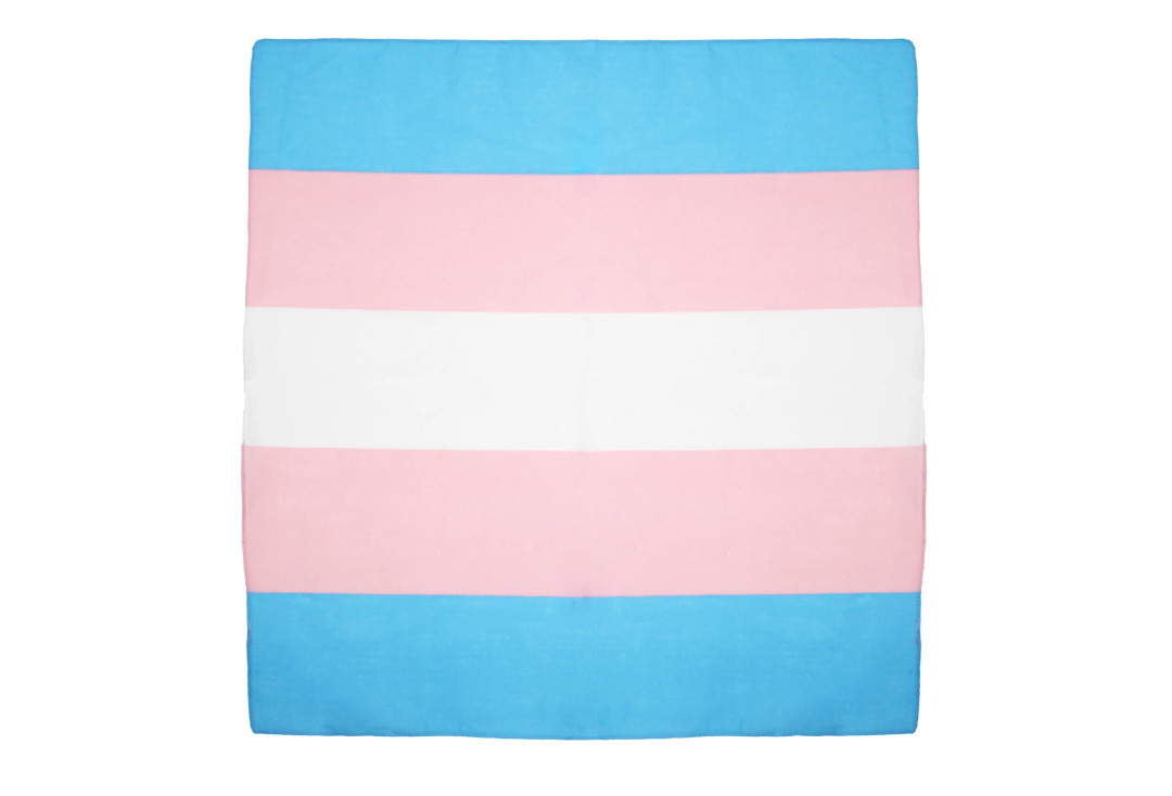 Void Clothing | Trans Pride Stripe Cotton Bandana
