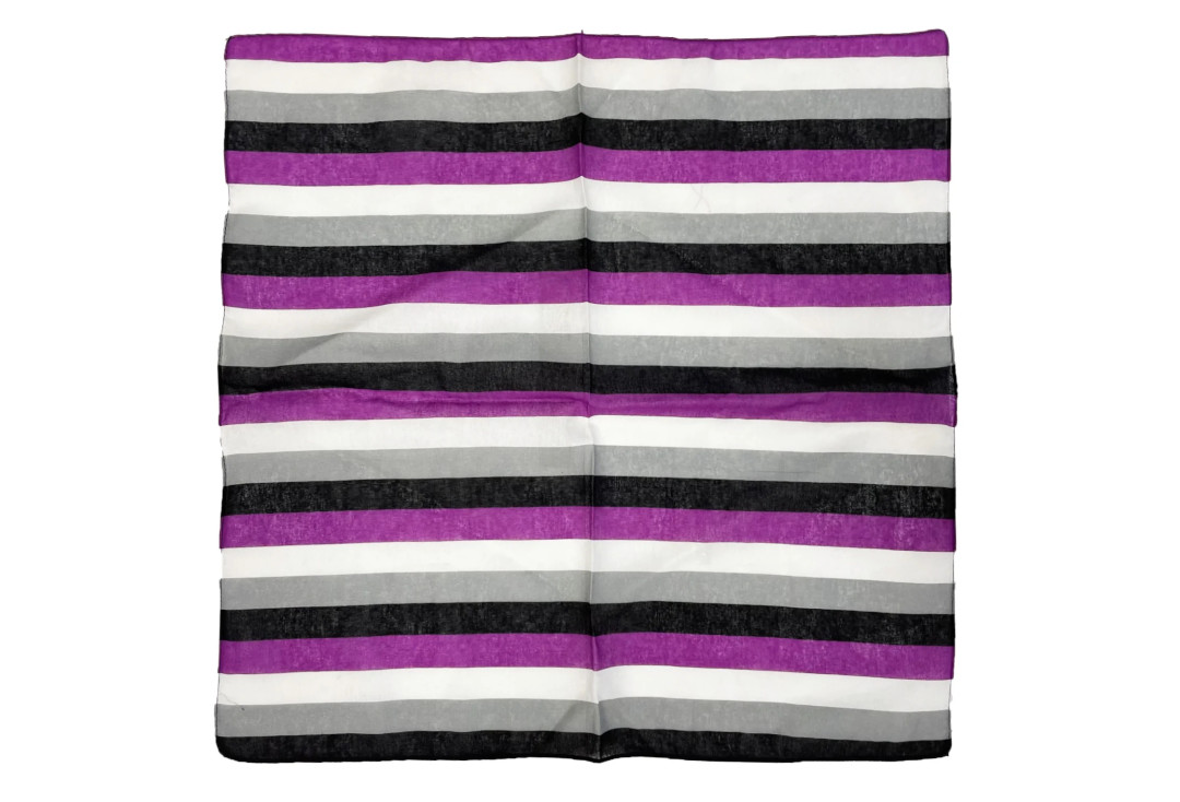 Void Clothing | Asexual Pride Stripe Cotton Bandana