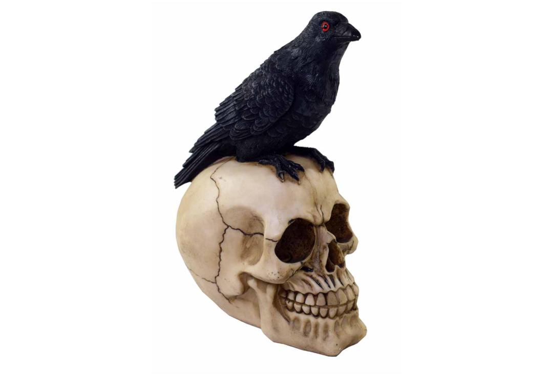 Void Clothing | Large Crow Skull Decoration