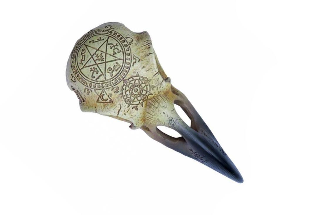 Alchemy Gothic | Omega Raven Skull Decoration
