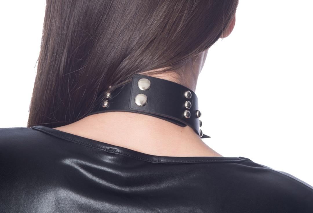 Guano Spike Banned Apparel Collar - Back View