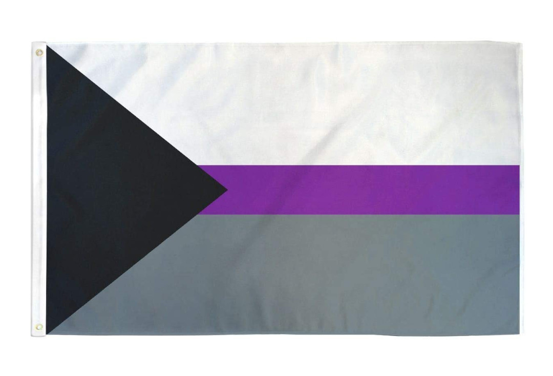 Void Clothing | Large Demisexual Pride Flag
