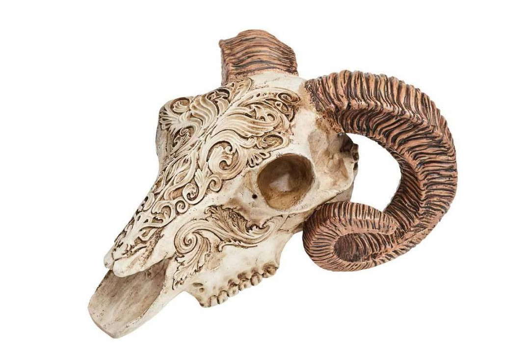 Alchemy Gothic | Scrimshaw Ram Skull Decoration - Main
