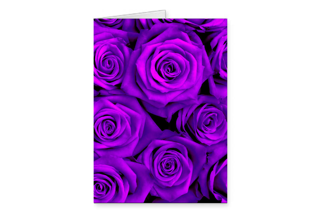 Void Clothing | Purple Roses Greetings Card
