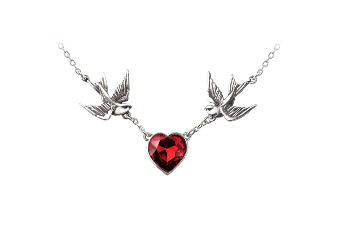 Swallow Heart Alchemy Gothic Necklace - Main