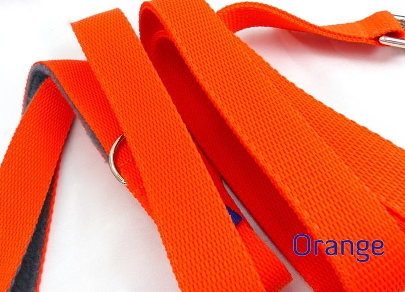 Orange webbing standard lead