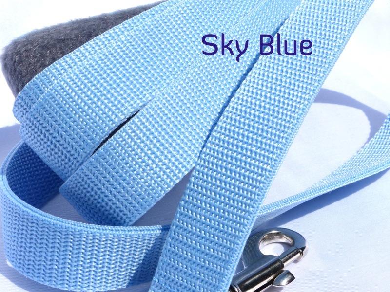 Sky blue webbing standard lead