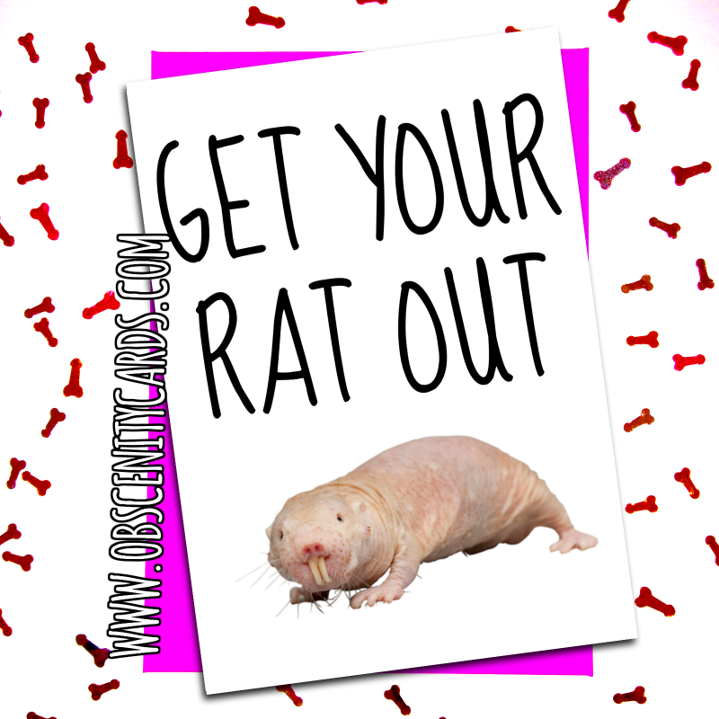 Funny Valentines Day Card get your rat out. Obscene funny offensive birthday cards by Obscenity cards. Obscene Funny Cards, Pens, Party Hats, Key rings, Magnets, Lighters & Loads More!