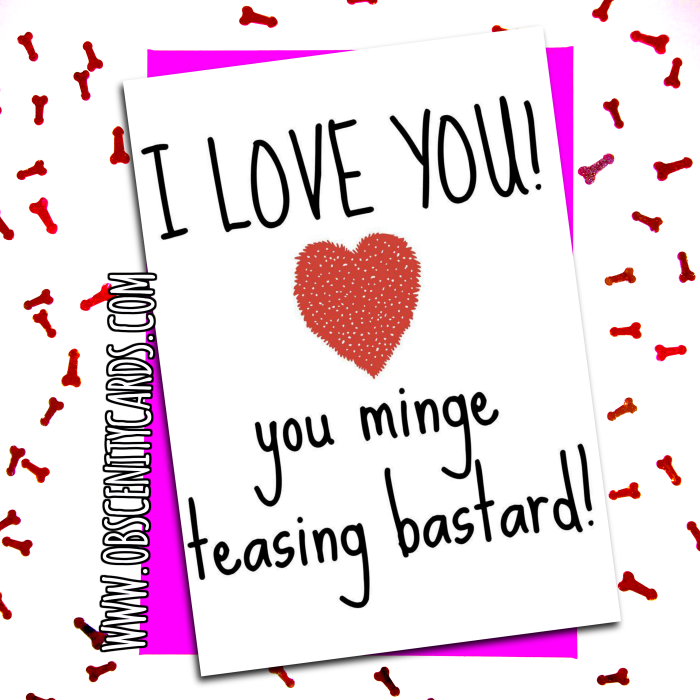 I love you, you Minge Teasing Bastard Valentine / Anniversary Card. Obscene funny offensive birthday cards by Obscenity cards. Obscene Funny Cards, Pens, Party Hats, Key rings, Magnets, Lighters & Loads More!