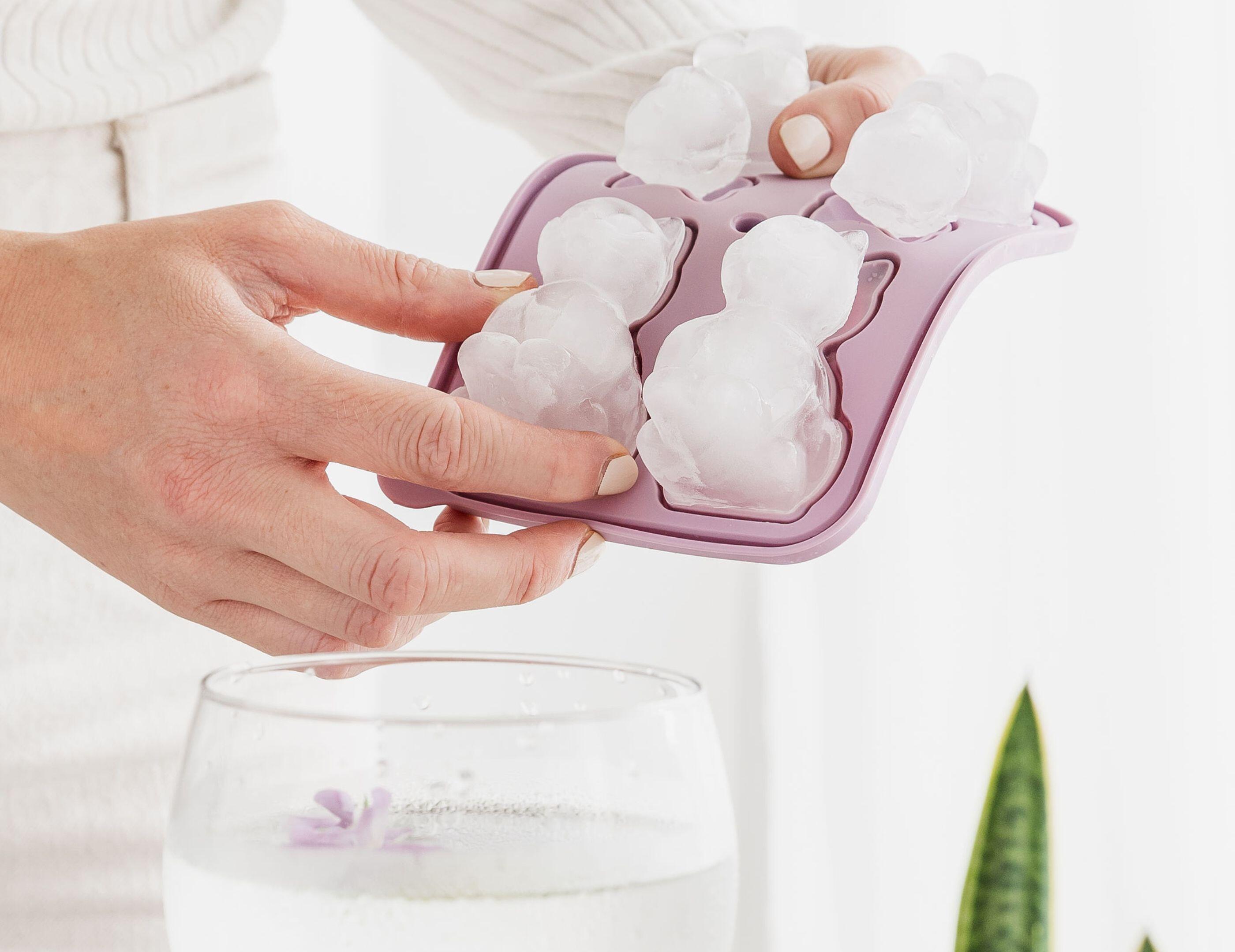 cat ice tray mothers day gift