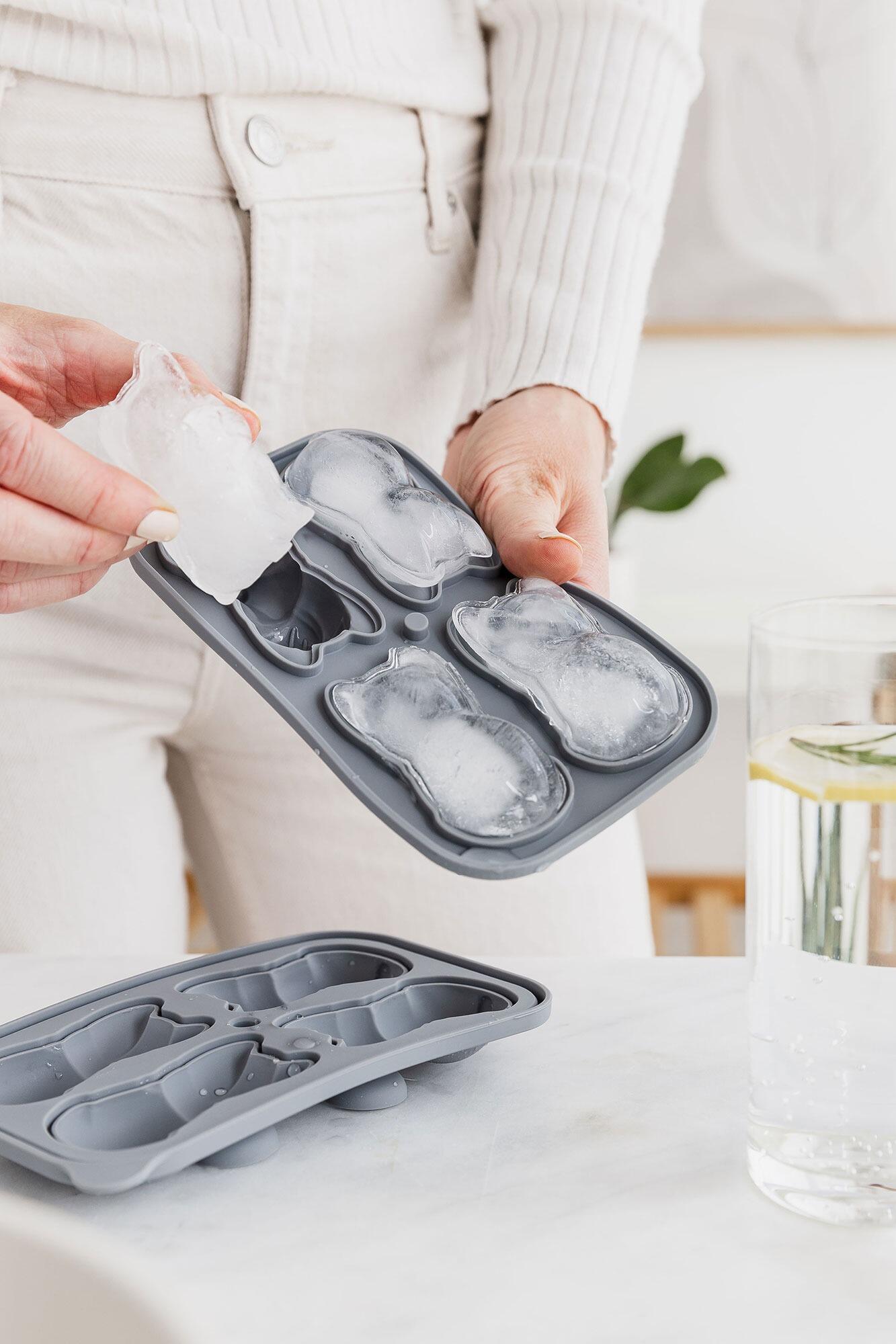 Frenchie Ice Cubes Gift