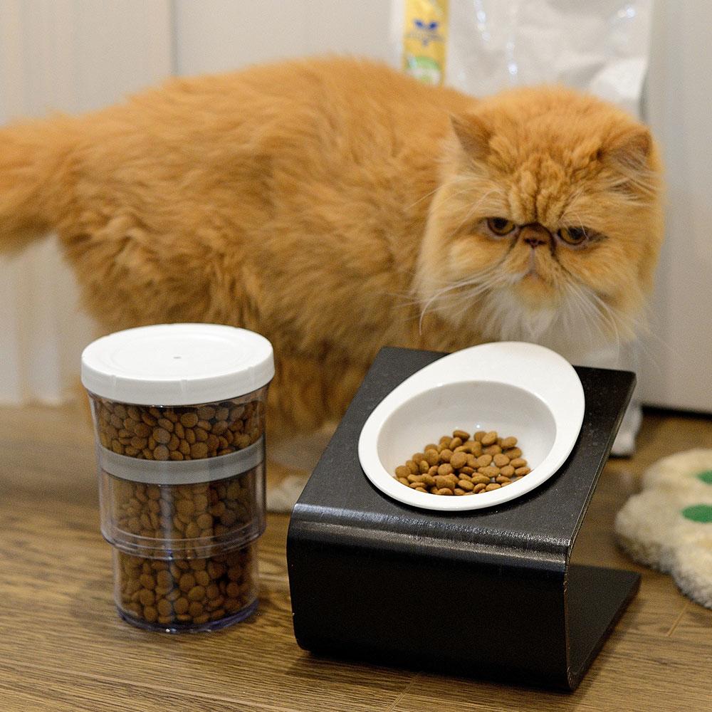 Botto - The Adjustable Container - Perfect for Pet Food