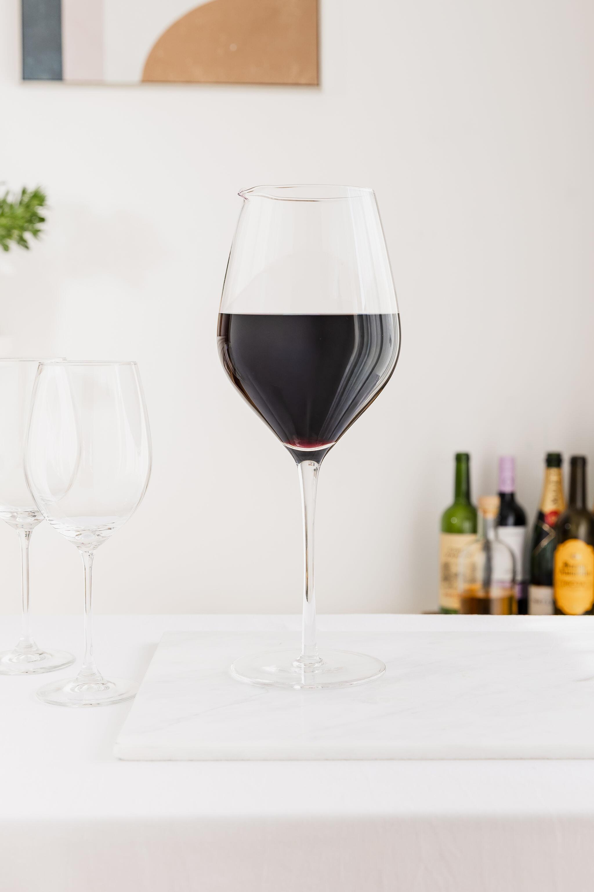 Extra Large Wine Glass Decanter