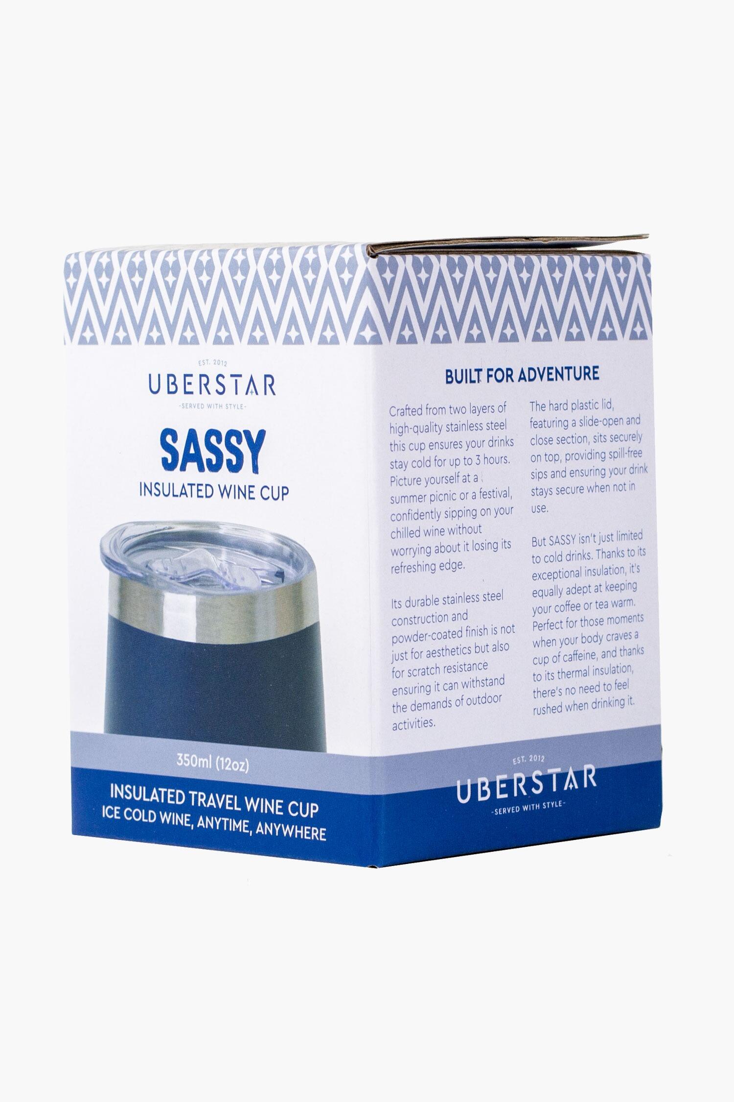 Stainless Steel Insulated Reusable Wine Tumbler Blue
