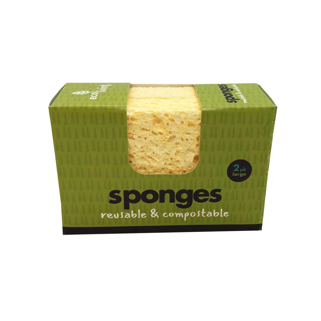 Compostable sponge Info