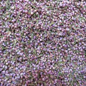 Heather Flowers