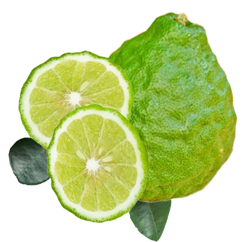 citrus bergamia essential oil