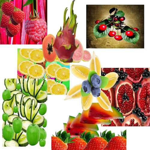 Fragrance Oil Bundle