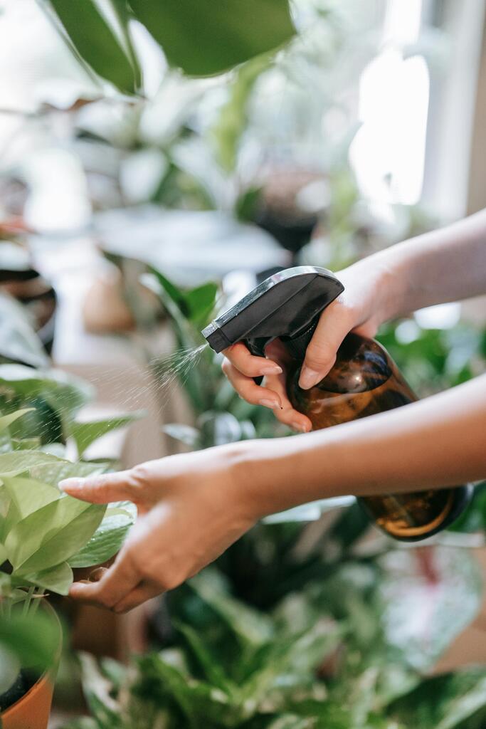 Are Aphids attacking your garden? And you thought Castile Soap was solely for the skin?