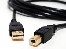 RT-42 USB-A to USB-B 10-Ft Cable