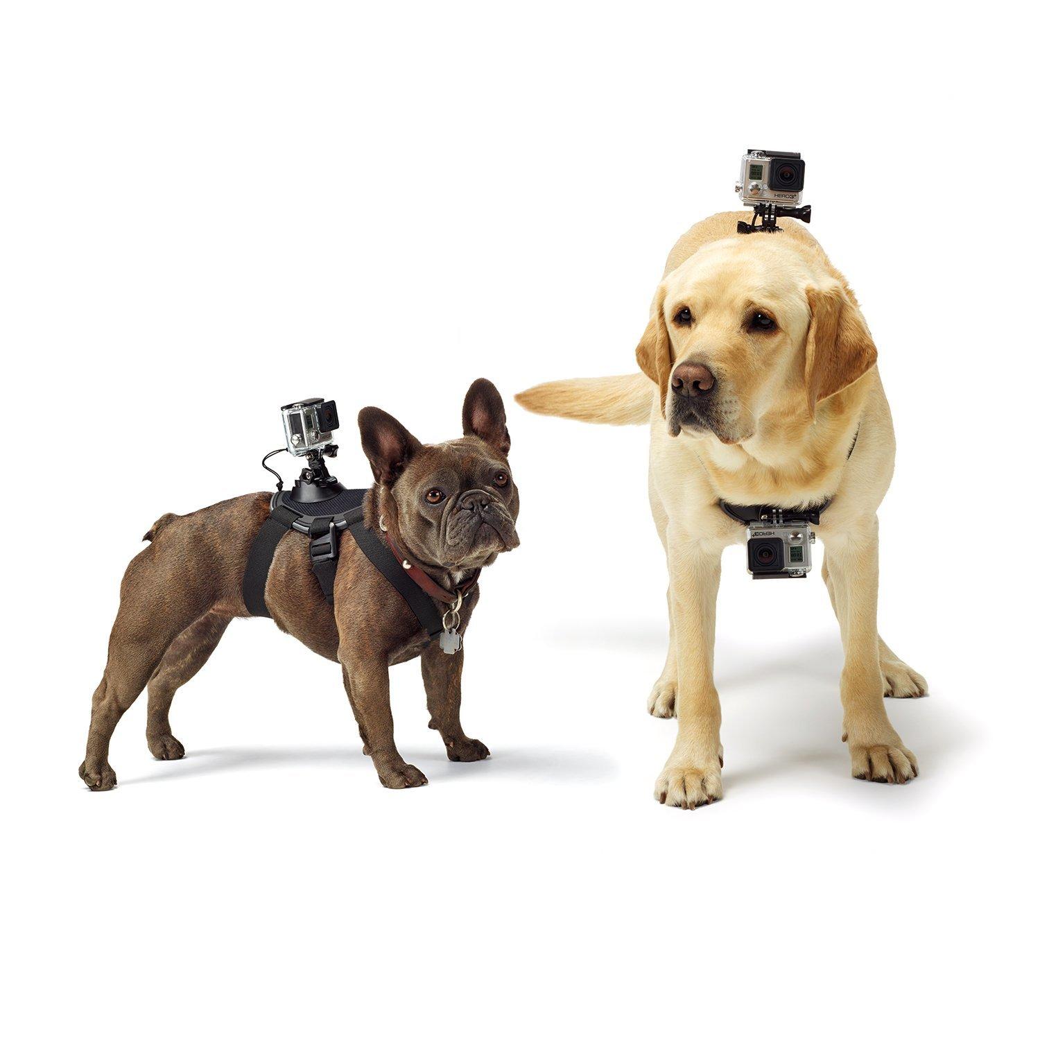 GoPro cameras GoPro Fetch Dog Harness Mount for Camera
