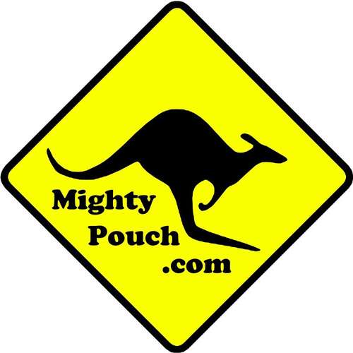 Mighty pouch for ft-817