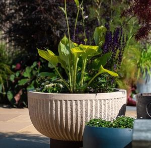 cream sandstone modern garden bowl planter luxury high quality natural stone outdoor planting allium pure