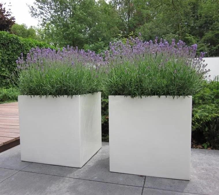 white fibreglass cubed garden planter square modern design for indoor or outdoor use