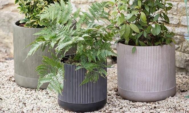 Fibre Clay Planters