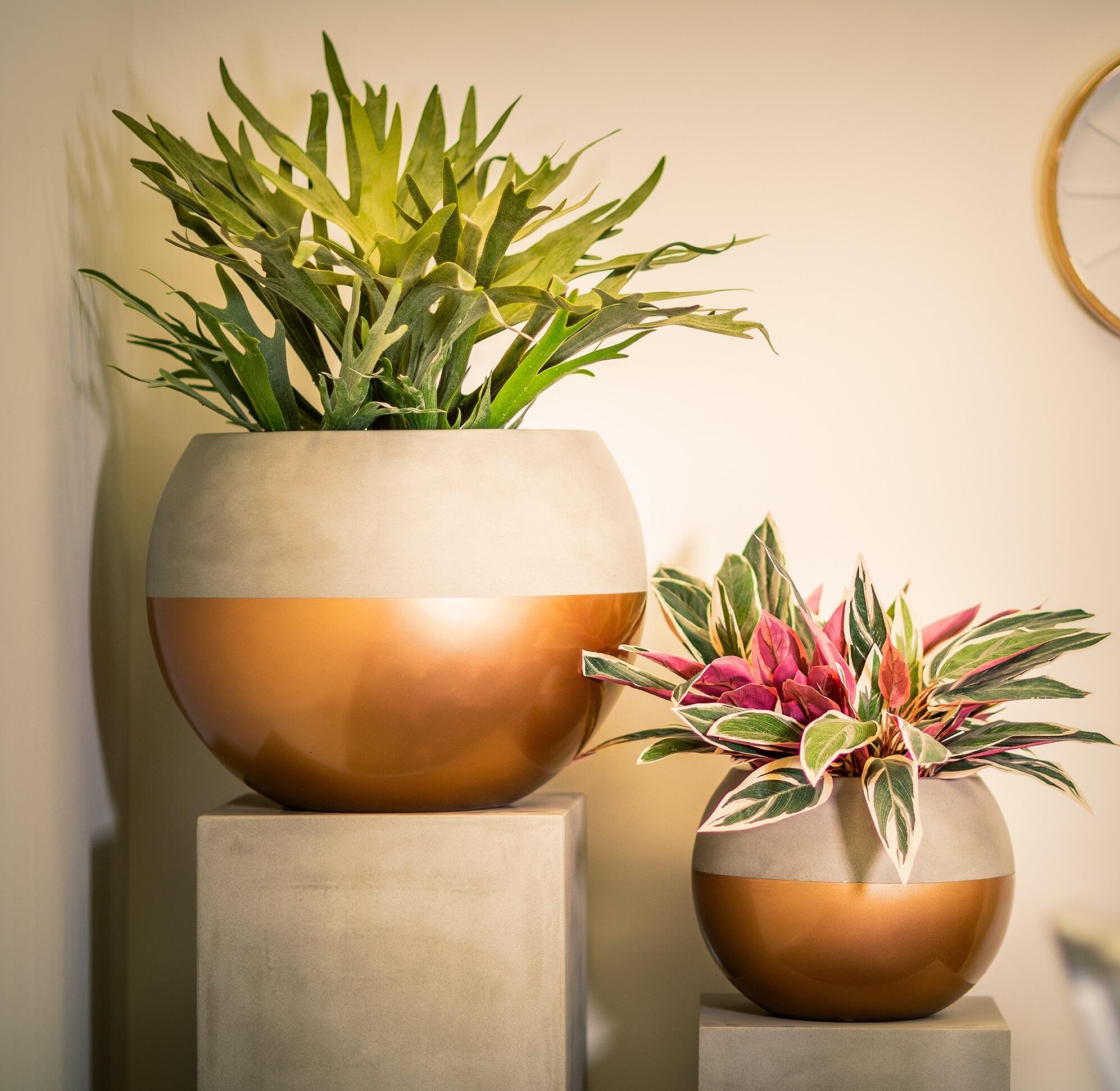 sphere garden round planter for indoor and outdoor use fibreglass weatherproof