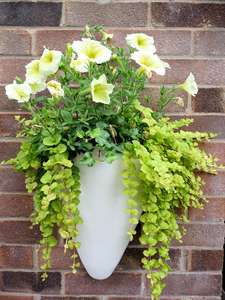 white fibreglass wall mounted garden planter half conical shape uk made bespoke colours