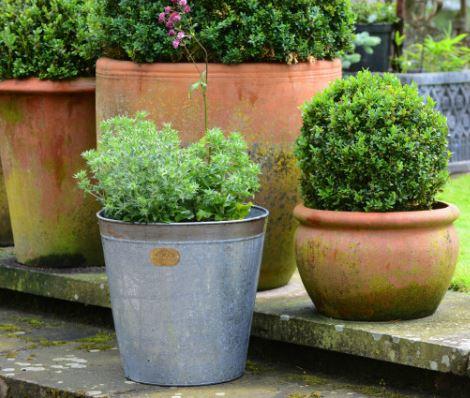 metal garden planter with terracotta outdoor planters