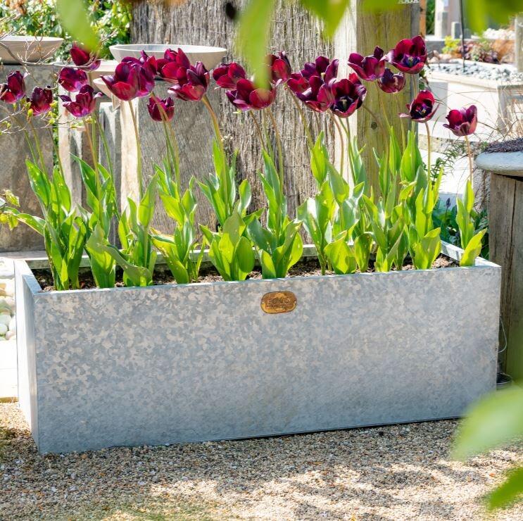 metal zinc garden trough planters for flowers and plants