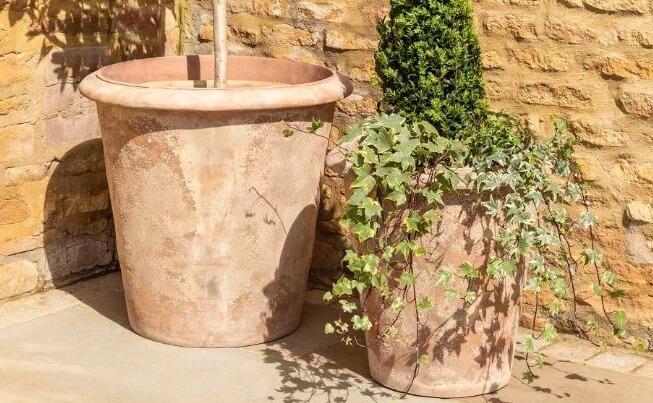 Terracotta Planters