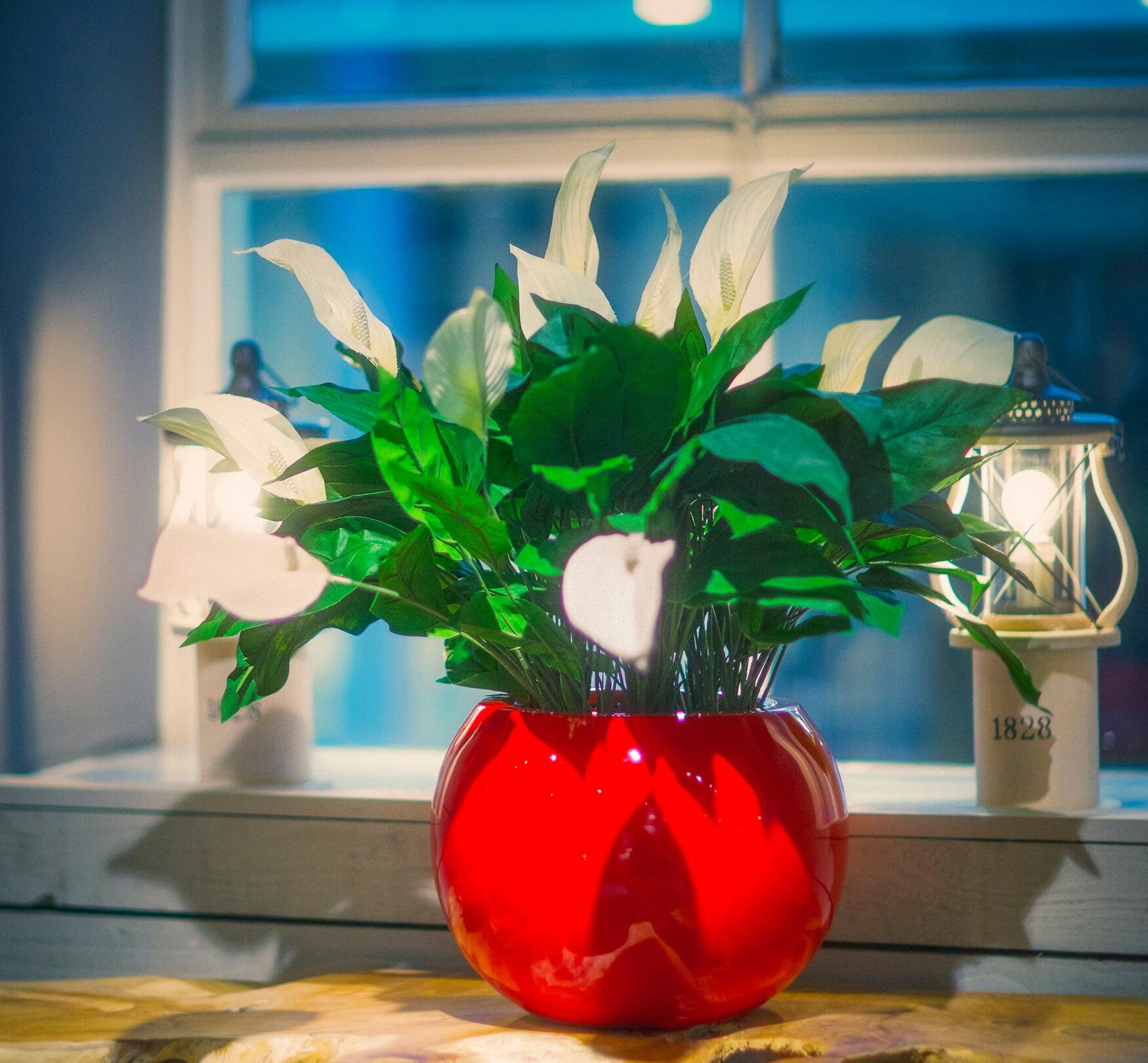 bright red fibreglass round sphere planter indoor or outdoor fully weatherproof