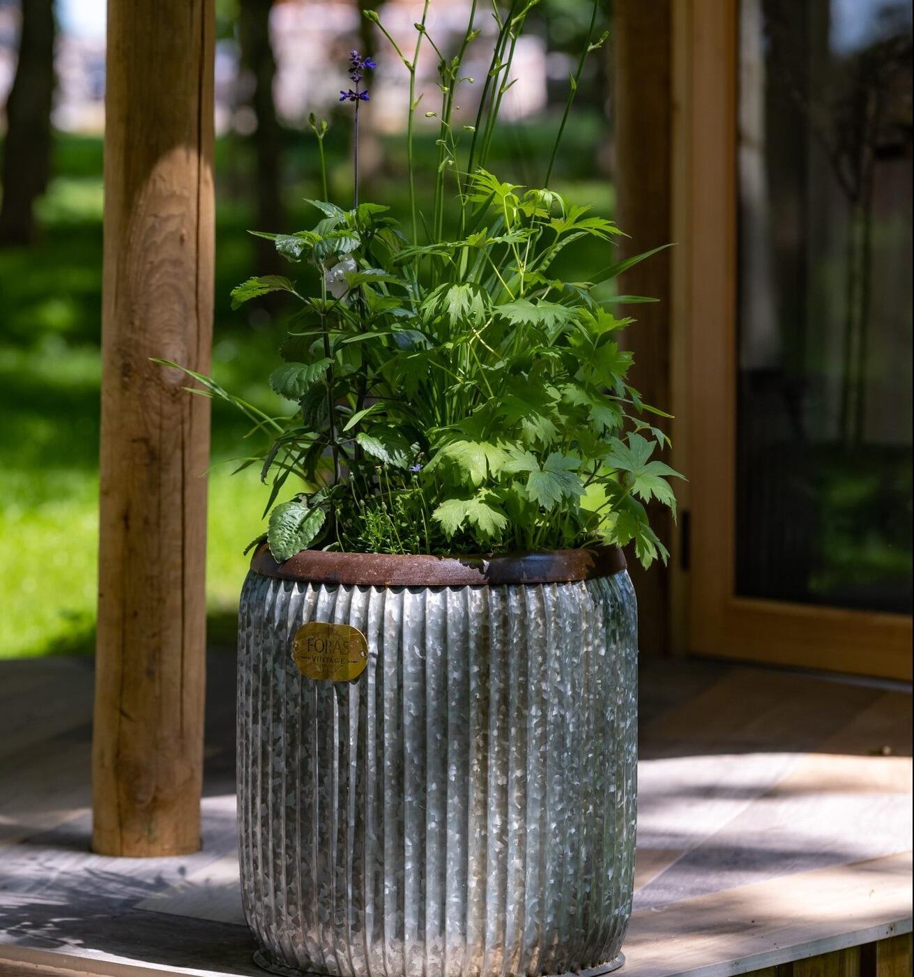 ribbed modern galvanised zinc garden outdoor planters with brass effect trim