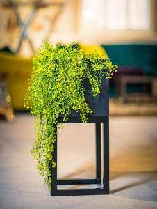 raised_fibreglass_cubed_planter_garden_outdoor_metal_stand_indoor_modern_contemporary