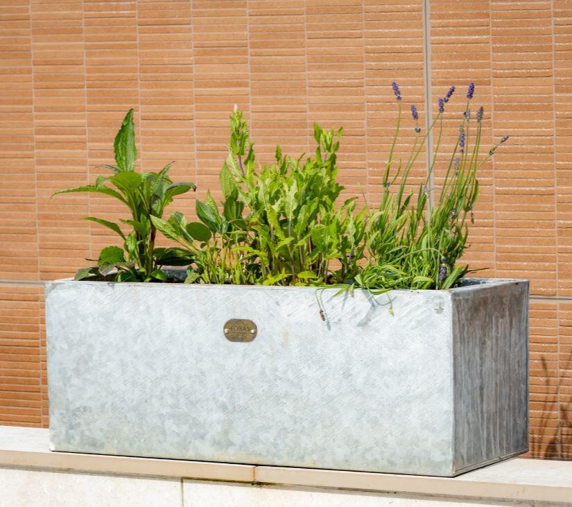 garden zinc metal trough planters for outdoor planting