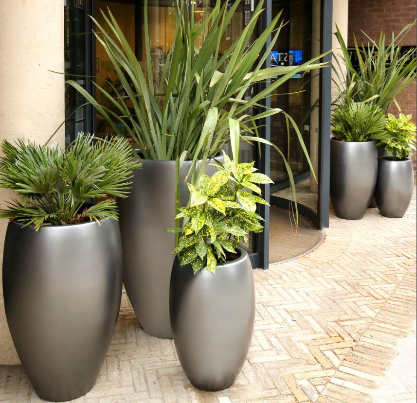 silver grey group of curved cuban fibreglass garden or indoor planters  contemporary modern design