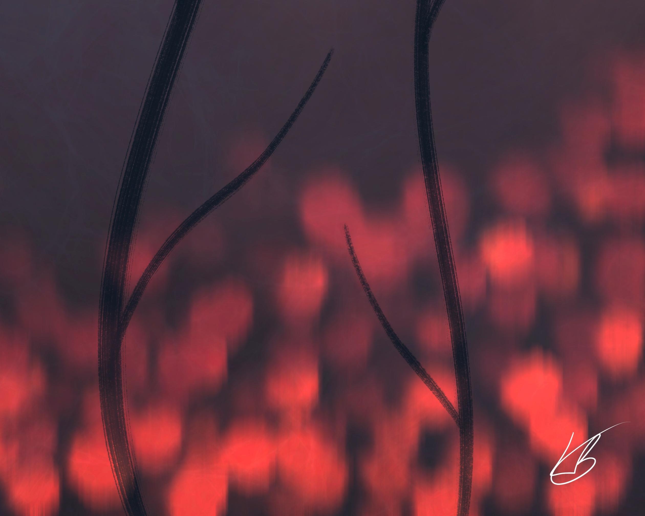 Close up of the digital signature of an abstract digital painting by Lily Bourne titled Ember Flowers. A red themed artwork with read ball flowers shown at dusk.