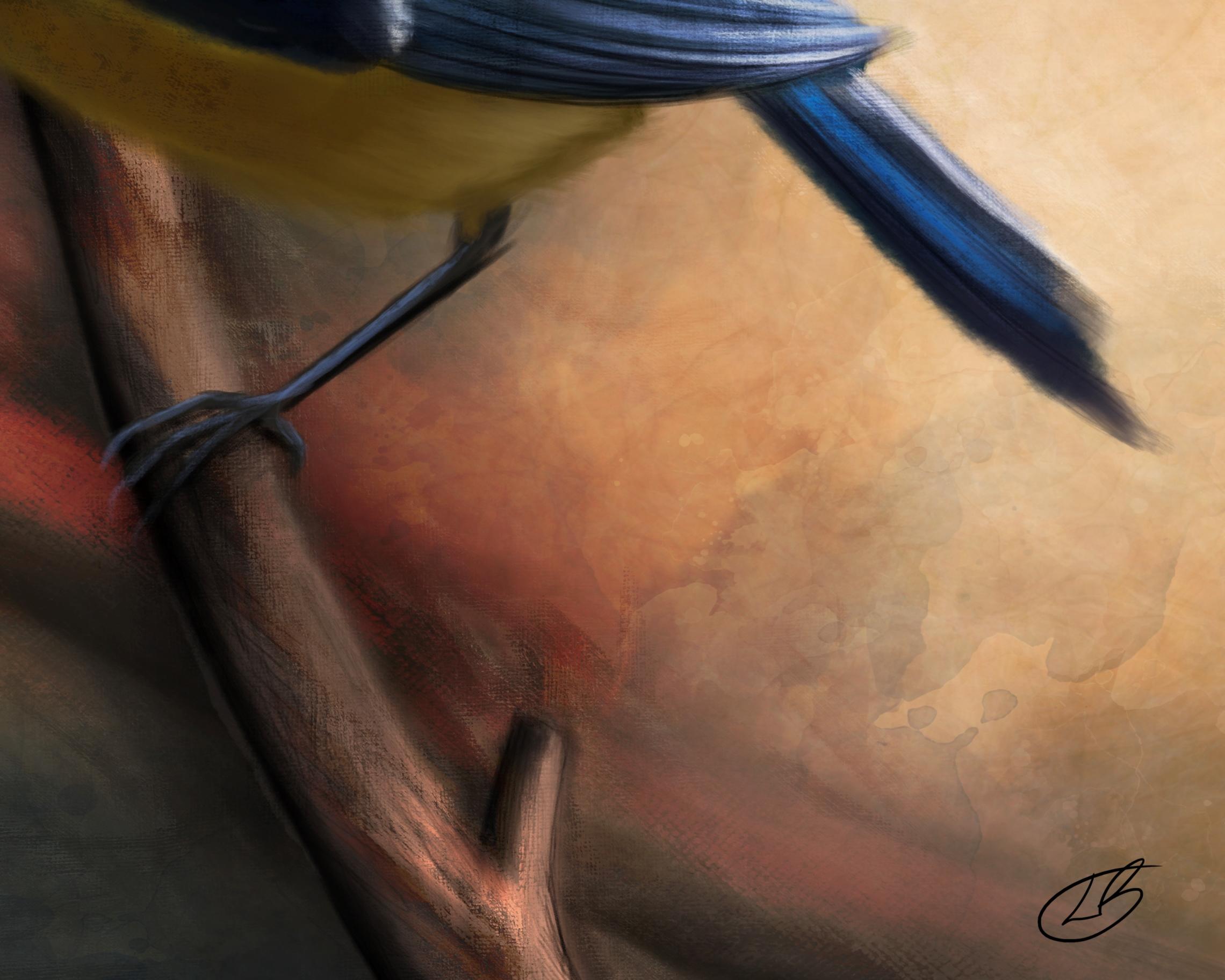 Close up of the digital signature of a digital painting by Lily Bourne of a Blue Tit. This yellow and blue bird is seen English gardens and throughout most of Europe. Seen in this painting on a small branch.